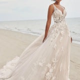 WMT5-PALMER (MT3240)