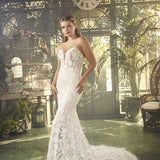 WCB5-2481FB (trunk show)